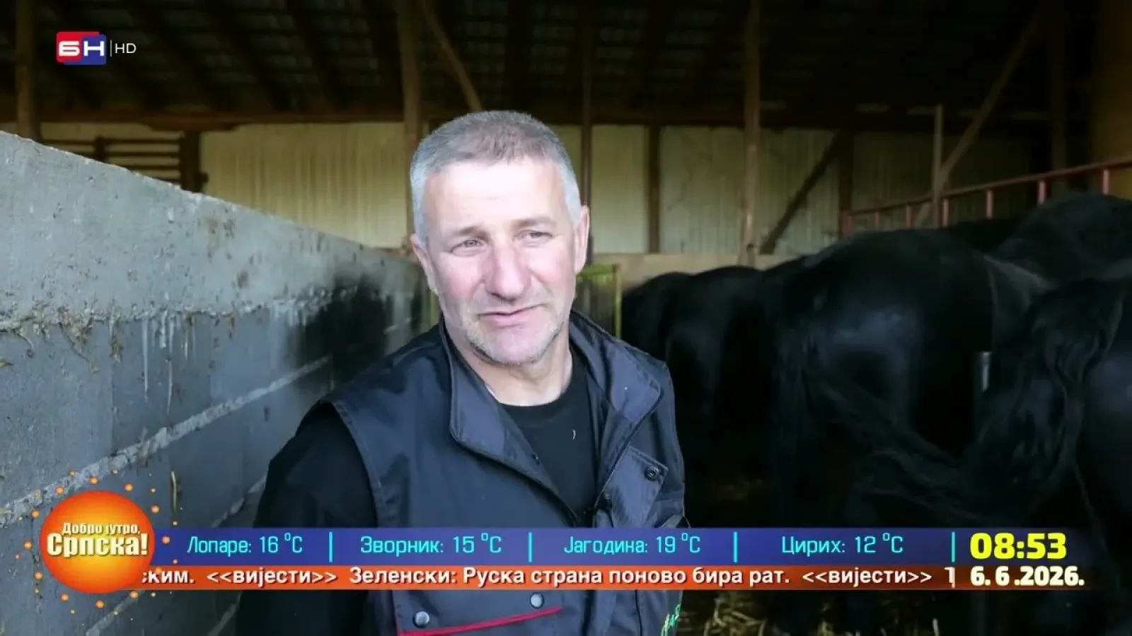 Оџак: Узгој тешких радних коња код породице Дејановић