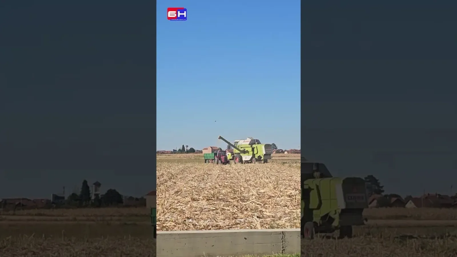 Вриједни Семберци скоро без кукуруза, суша спалила све