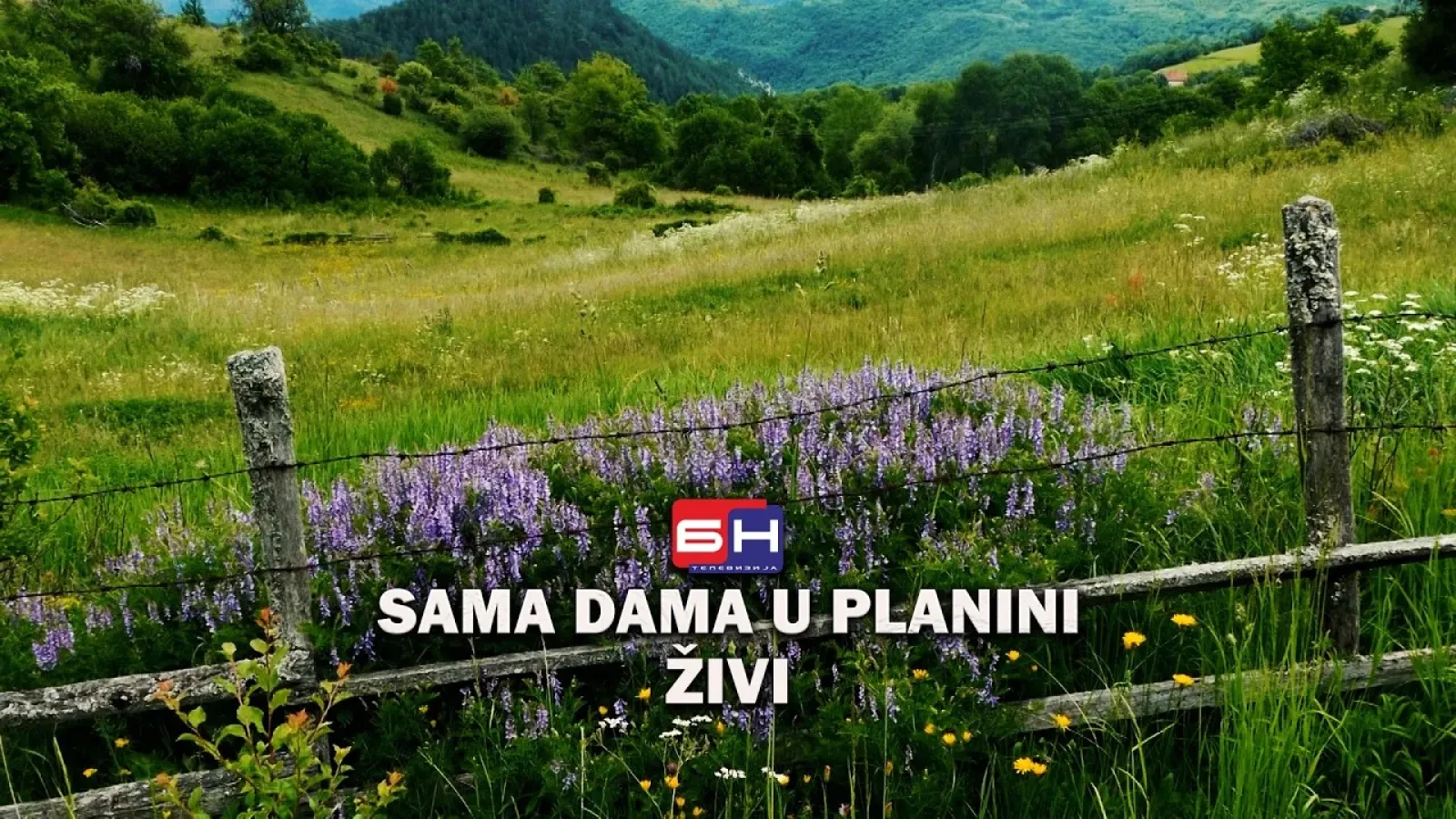 Sama dama u planini živi || ZAPISI PORED PUTA