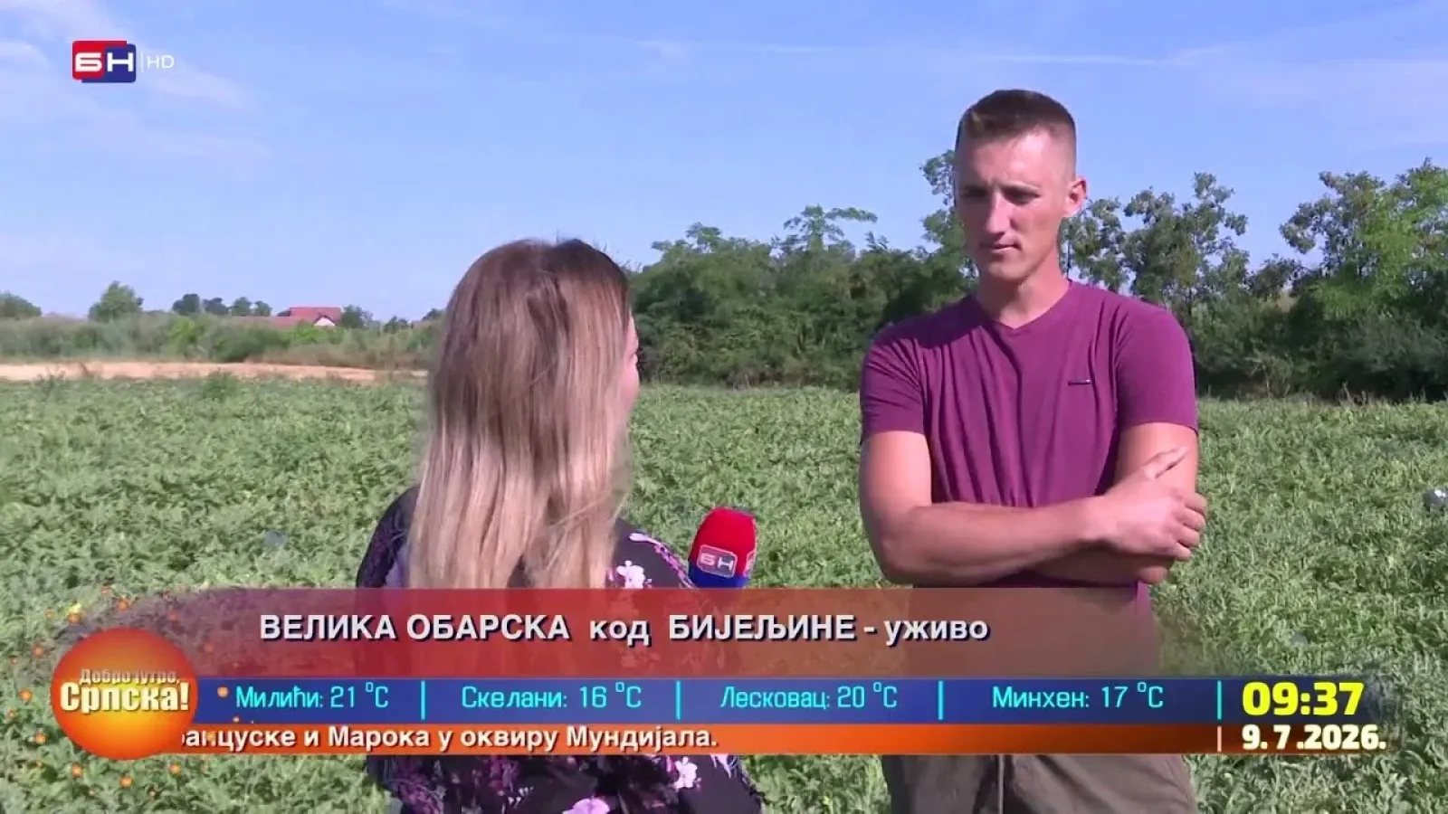 Kako izgleda jedan dan uzgajivača lubenica?