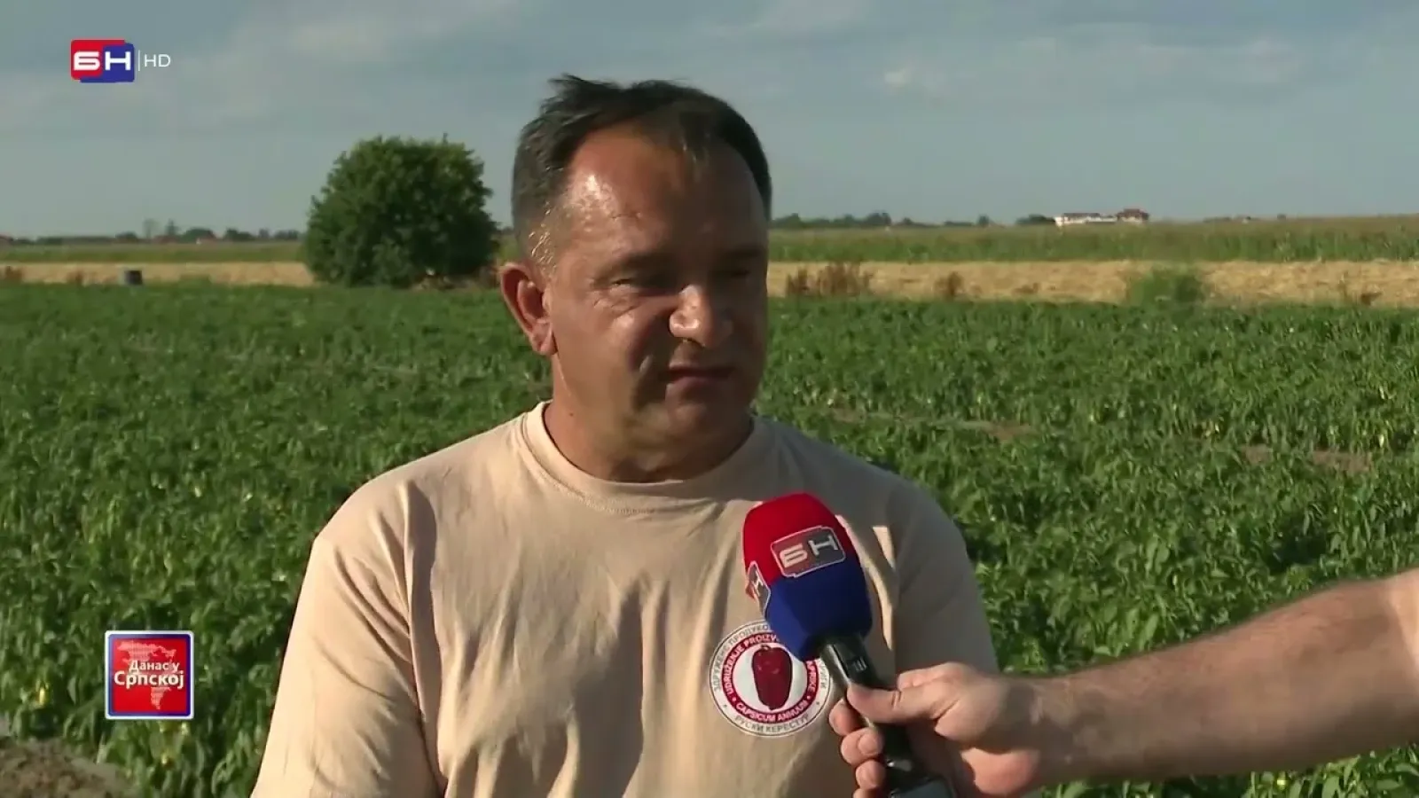 Kakvo je stanje sa povrtarskim kulturama u Semberiji