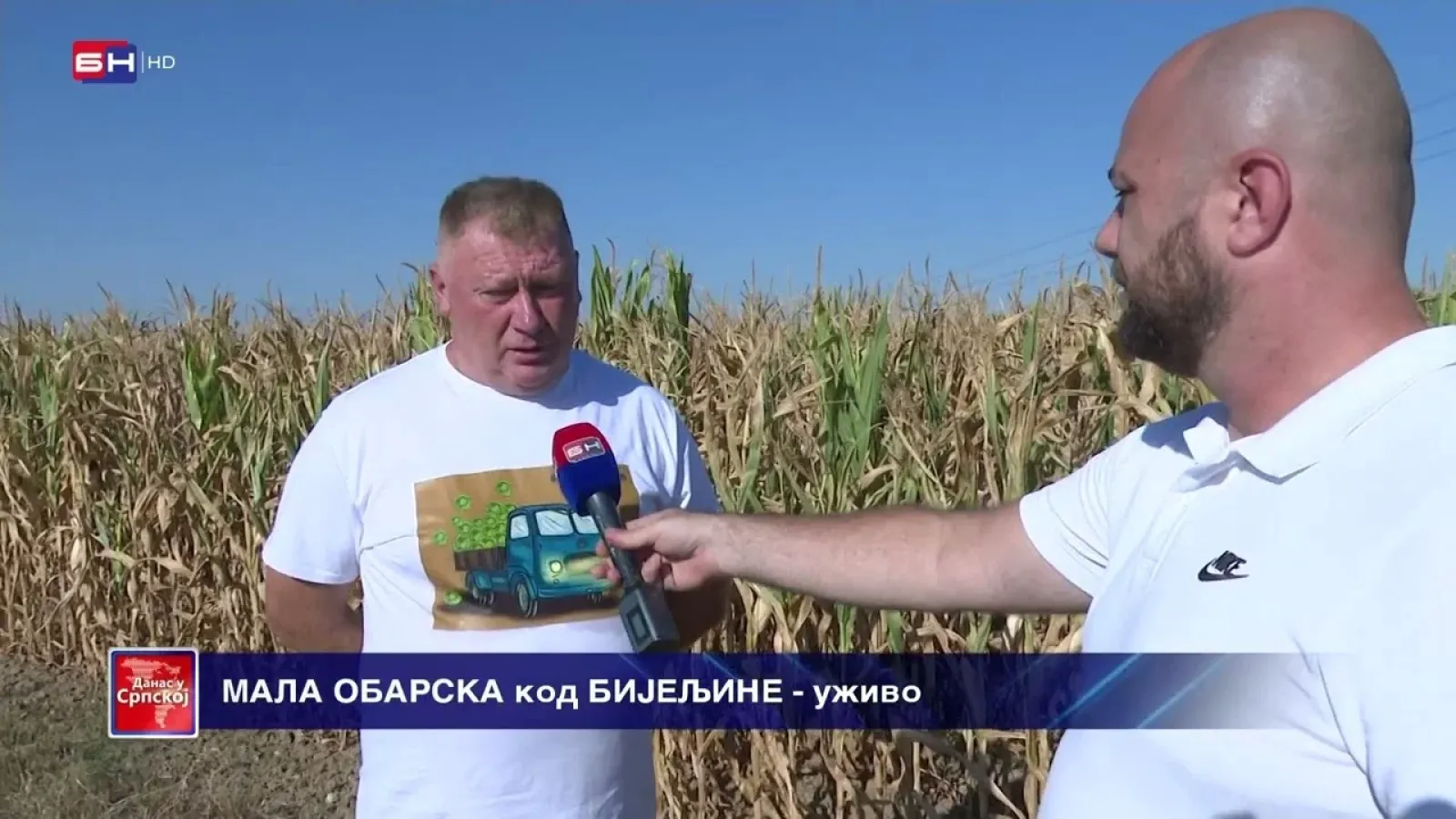 Какво је стање на пољима кукуруза у Семберији?