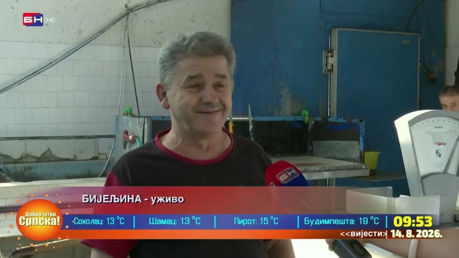 Мирко Николић: Најпродаваније рибе су шаран, пастрмка и ослић, а цијене су приступачне