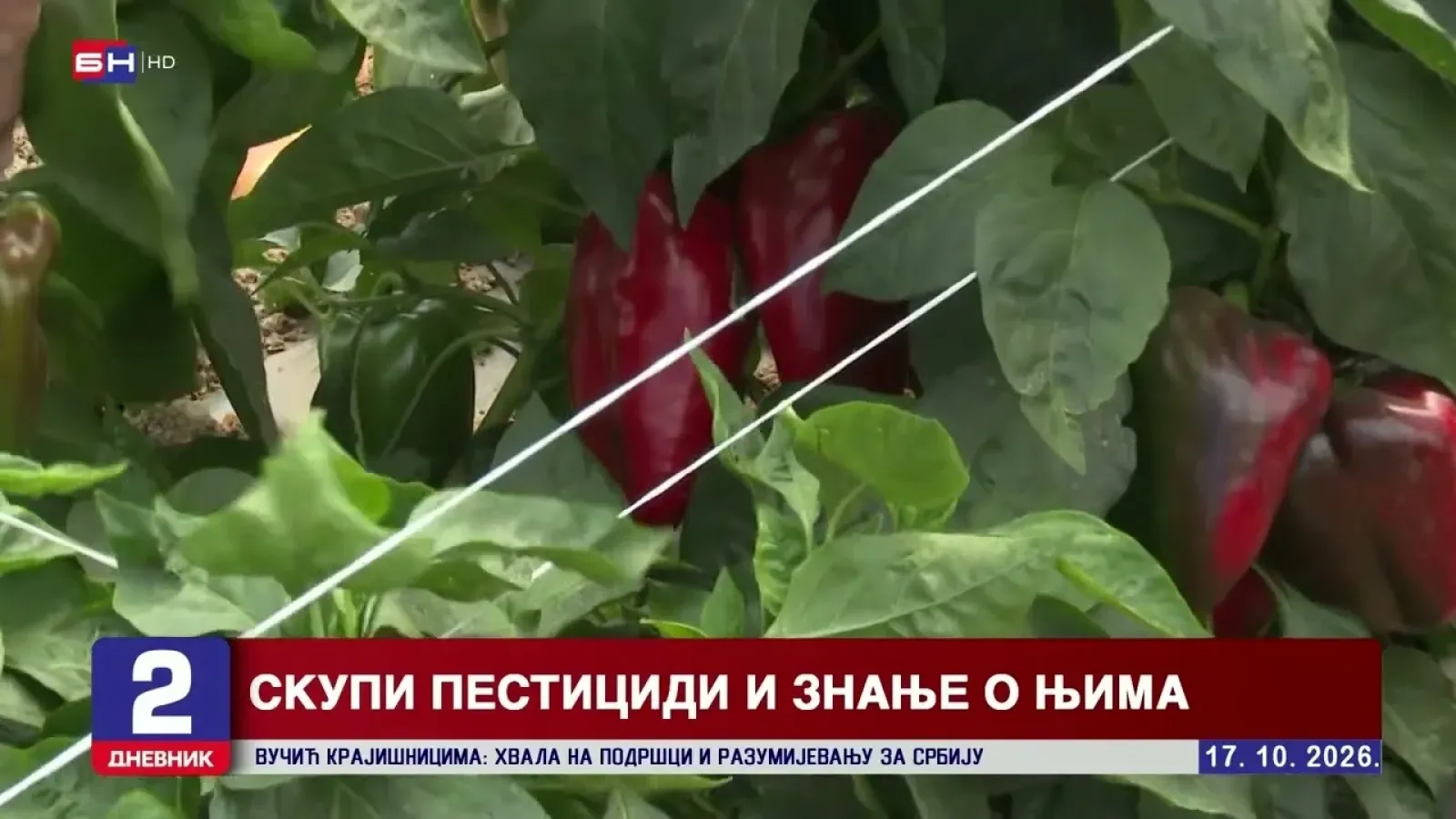 Колико штетних материја уносимо у организам путем хране?