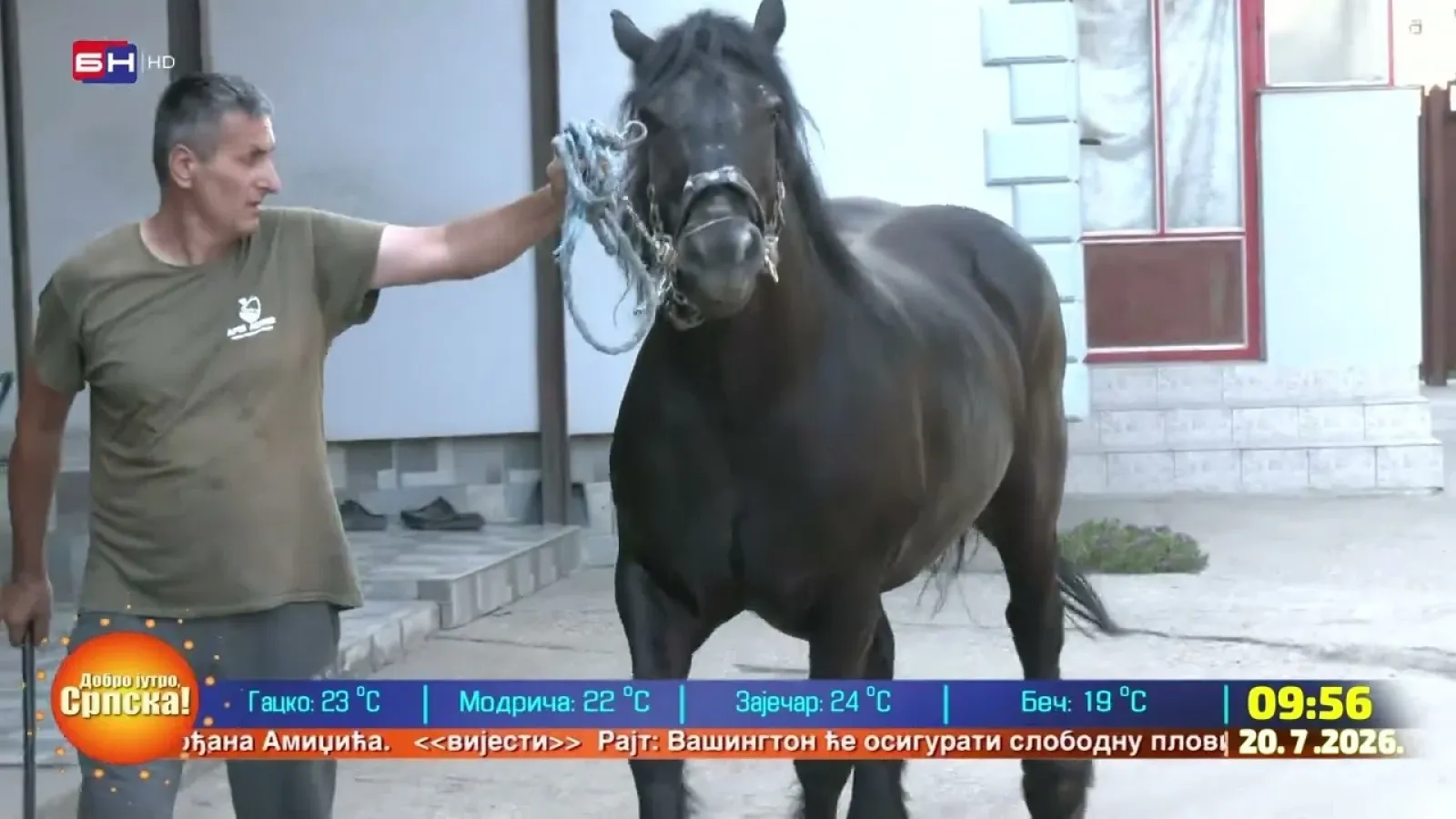 Porodica Karać u Čurugu bavi se ratarstvom, a nabavili su i konje