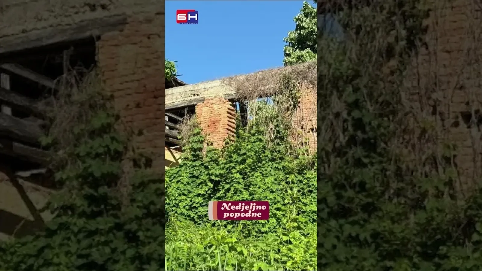 Vlado Antić - BN Nedjeljno popodne #nedjeljnopopodne #bntv #bntelevizija #bnportal