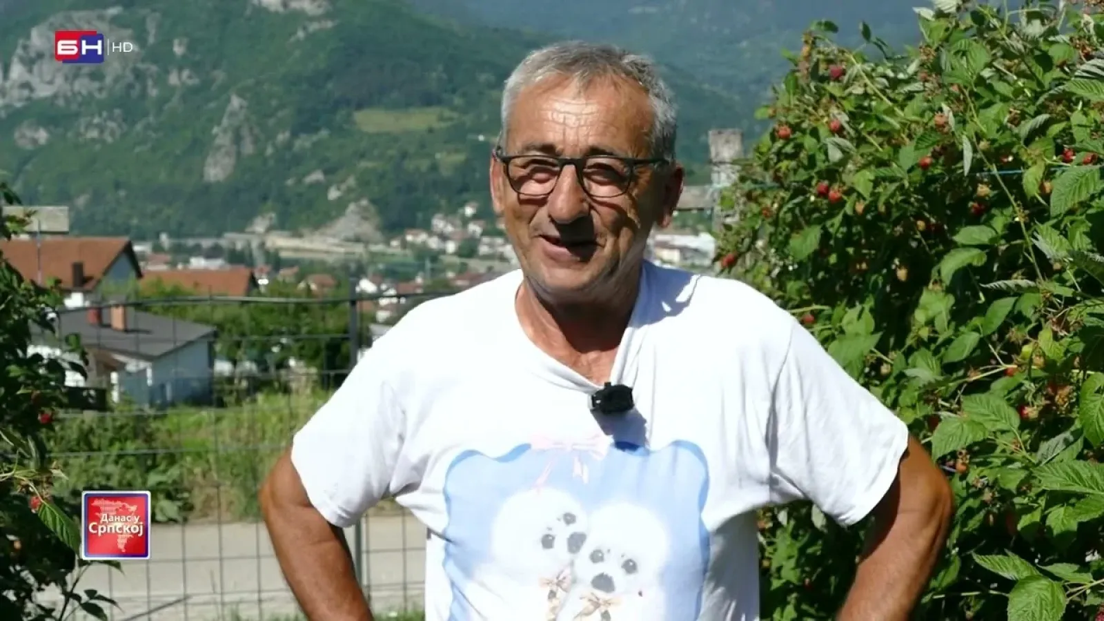 Propast proizvodnje maline u Višegradu, Rudom i Rogatici