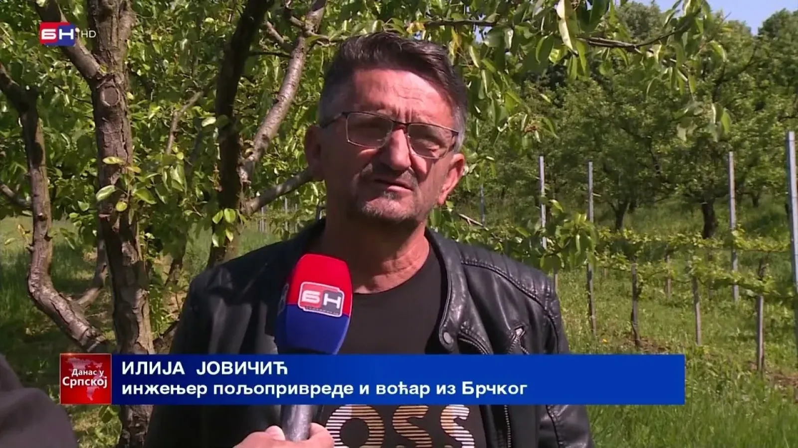 Kako će niže temperature uticati na voće?