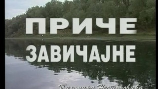 Priče zavičajne Tihomira Nestorovića