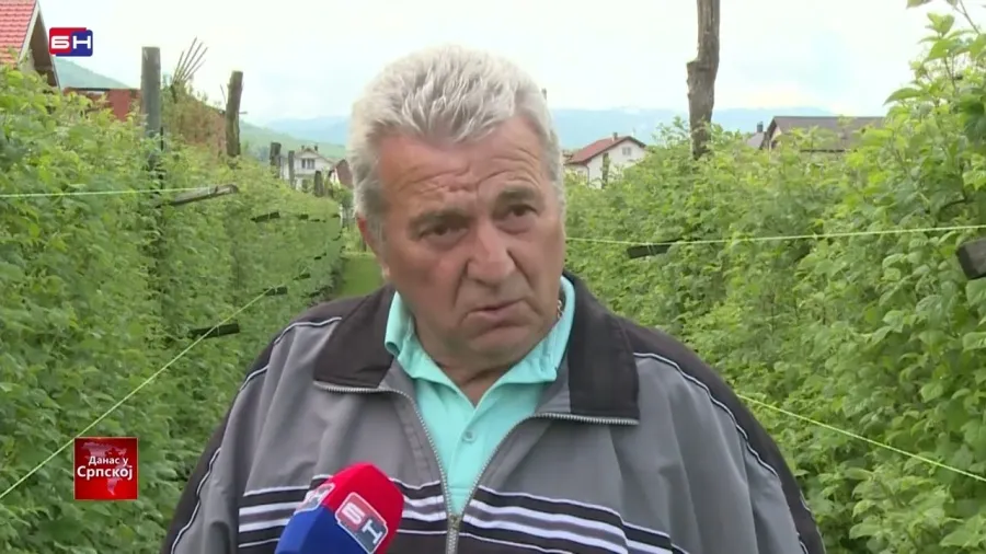 Malinari u Birču u punom poslu, snijeg i mraz prave probleme