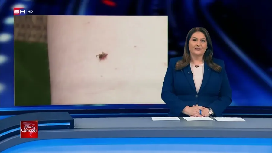 DANAS U SRPSKOJ: Malinari u Birču u punom poslu, Dolazak toplog vremena donosi porast krpelja