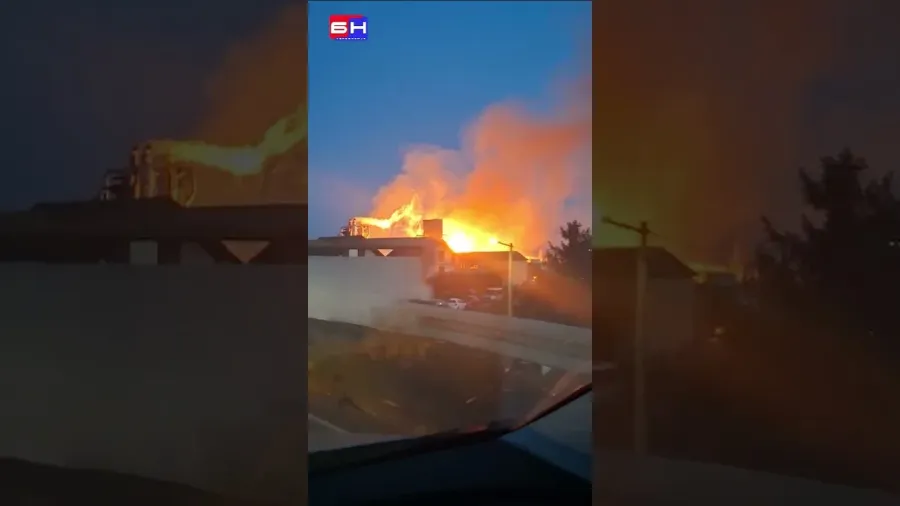 Пожар у пилани "Рашевић", Бијељина
