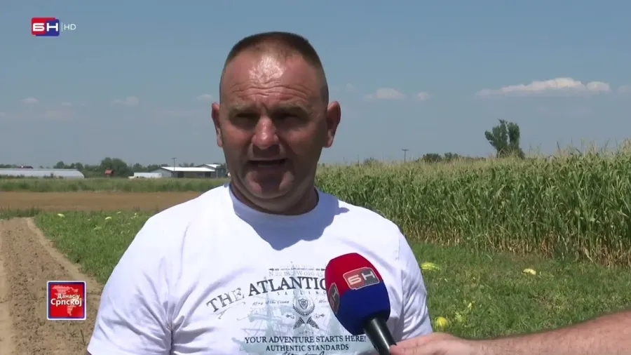 Лубенице из Семберије стигле на тржиште, али цијена задаје проблеме произвођачима