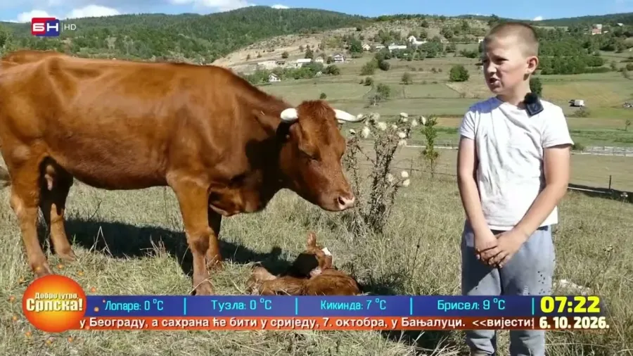 Дјечак Гаврило Бојат са Борика помаже породици у узгоју стоке