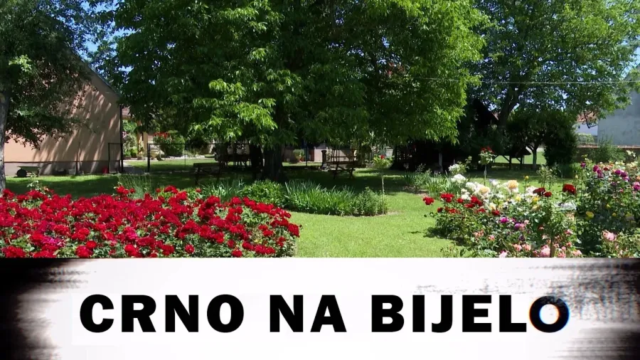 ZAPISI PREDAKA: Botanika, zavičaj i imanje: Milenko Ćurčić čuva ljepotu Velinog Sela?!