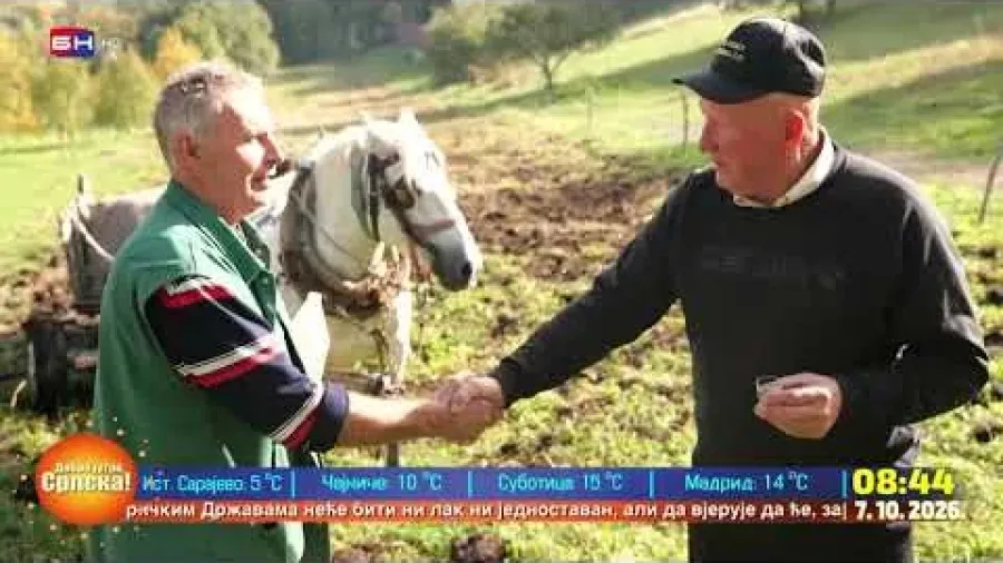 Зоран Црнчевић из Мркоњић Града још увијек оре уз помоћ коњских запрега