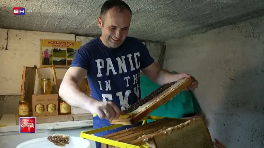Većina pčelara na Sarajevsko-romanijskoj regiji ove godine bilježi bolje prinose meda