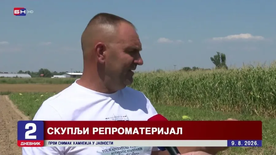 Произвођачи лубенице се жале на нелојалну конкуренцију из увоза