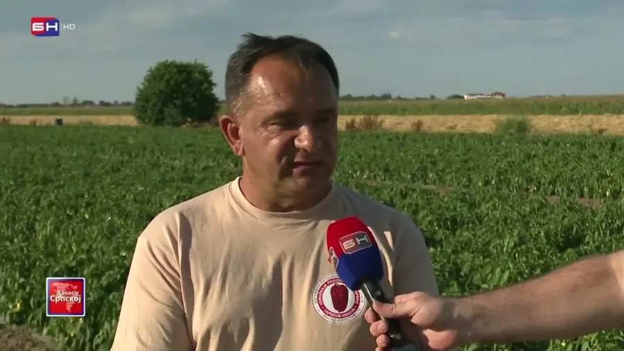 Kakvo je stanje sa povrtarskim kulturama u Semberiji