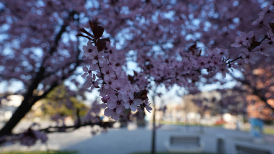 Шта каже прогноза, какво нас вријеме чека за Васкрс?