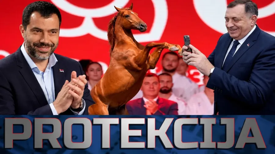 ДОДИК КАЖЕ ЗА КОЊА: Коњина побједи на изборима?! СНСД плаћа 200Е глас у дијаспори?! || ПРОТЕКЦИЈА