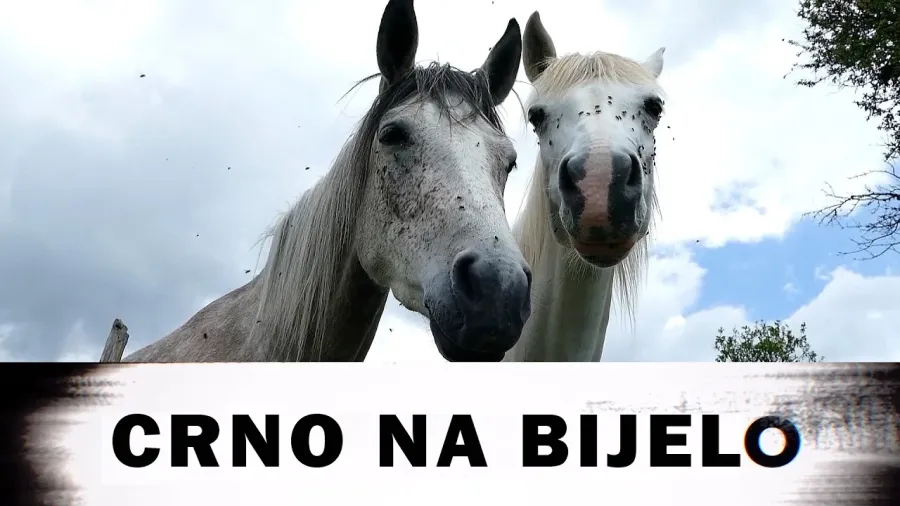 I SRBIJA IMA HOLIVUD: Filmsko selo kod Zlatibora gdje su sir, rakija i kamera spojili ljude?!