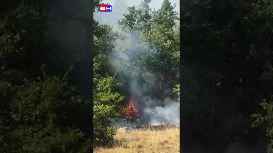 Позар се приблизава Доњој Бијењи код Невесиња