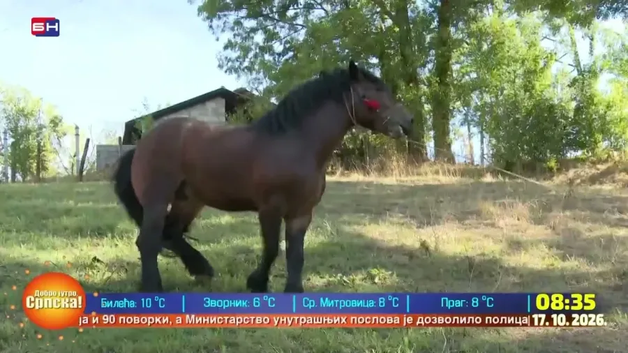 Војислав Антонић се ременарским занатом бави од 1954. године