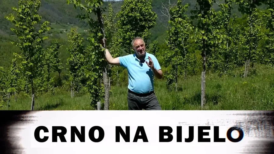 ZAVIČAJ U SRCU: Dok sela nestaju, on je kupio selo i zasadio život za buduće generacije?!