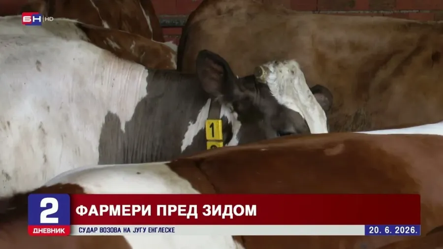 Viškovi mlijeka u Bosni i Hercegovini se gomilaju, a otkupne cijene padaju
