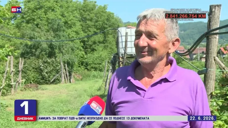 Počela berba maline u regiji Birač: Neizvjesnost zbog niske otkupne cijene