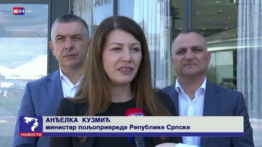 Суша у Семберији оставила озбиљне посљедице на принос и квалитет кукуруза