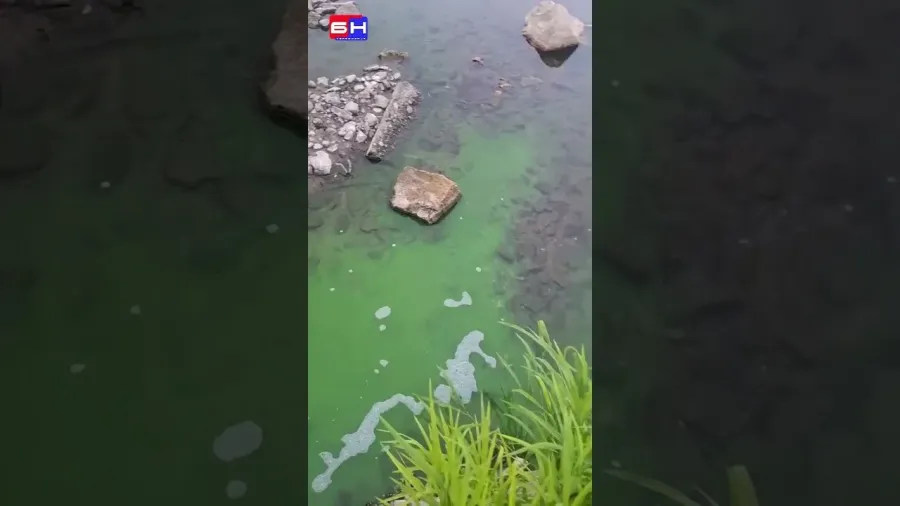 Doboj na Usori - novi kolektor?!