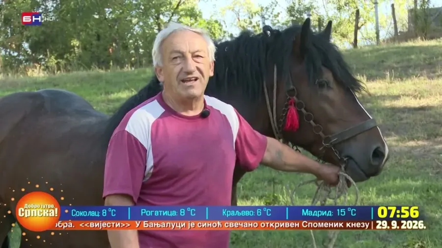 Бањалука: Породица Зорана Данчића узгаја коње више од два вијека